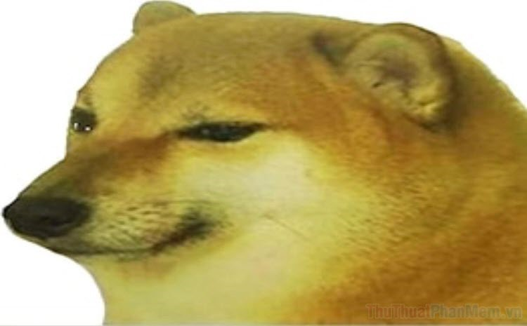 LQDOJ